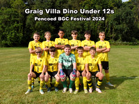 Graig Villa Dino